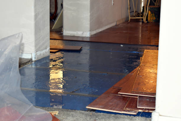 Professional Burst Pipe Cleanup technician working in Nolanville, TX